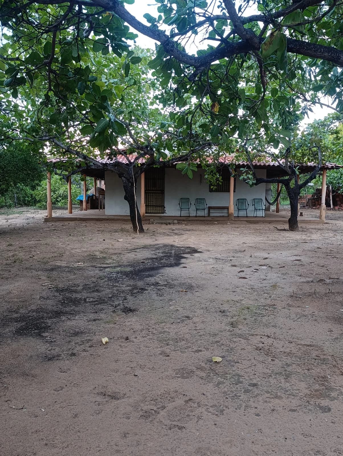 Chácara com Casa e Árvores Frutíferas à Venda em Laginhas – Pedro II/PI